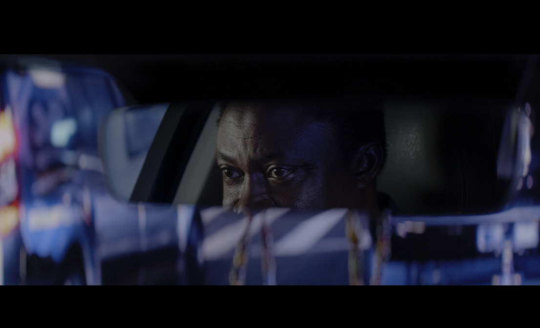 A Guest in My Country